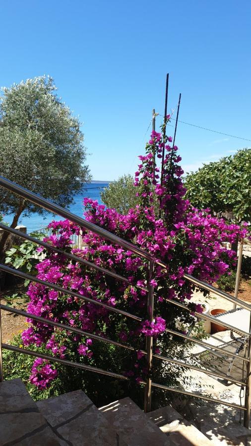 Blue Lagoon Silba Εξωτερικό φωτογραφία